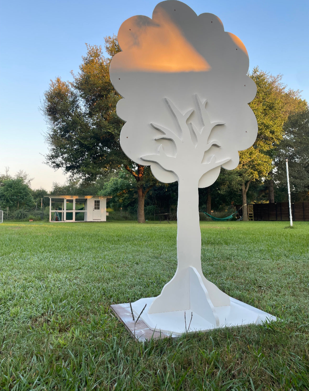 Wood Backdrops and more